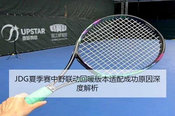 JDG夏季赛中野联动回暖版本适配成功原因深度解析